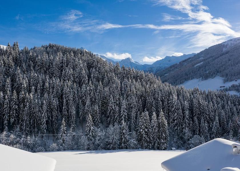 Tyrol Alpbach View from Property
