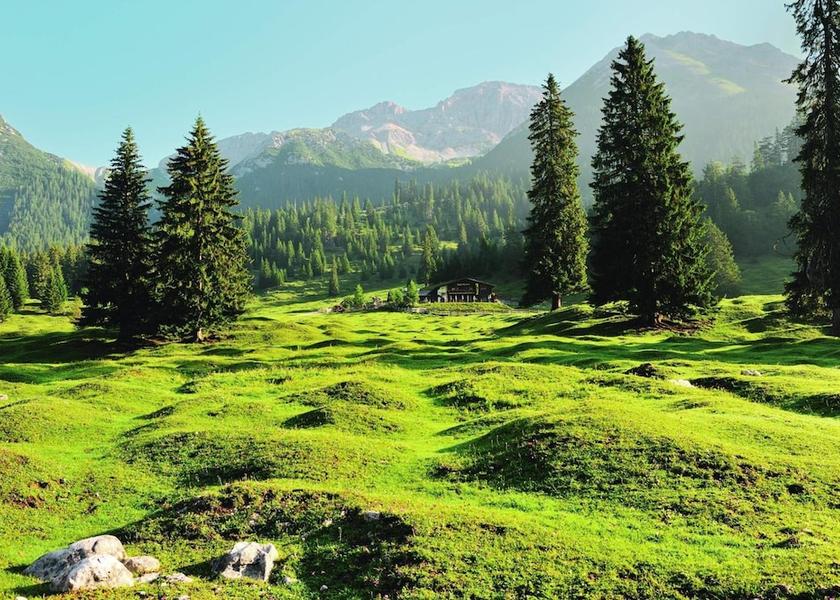 Tyrol Leutasch Property grounds
