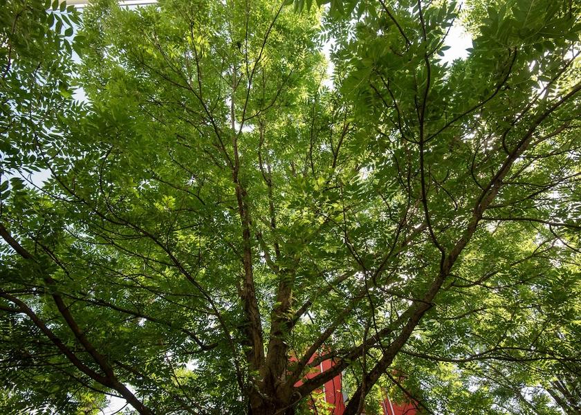 Styria Graz Exterior Detail