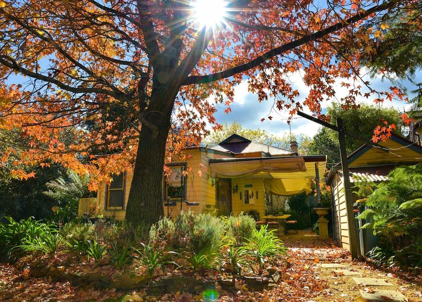 New South Wales Leura Garden View