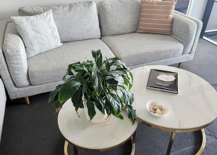 Queensland Gold Coast Living Area