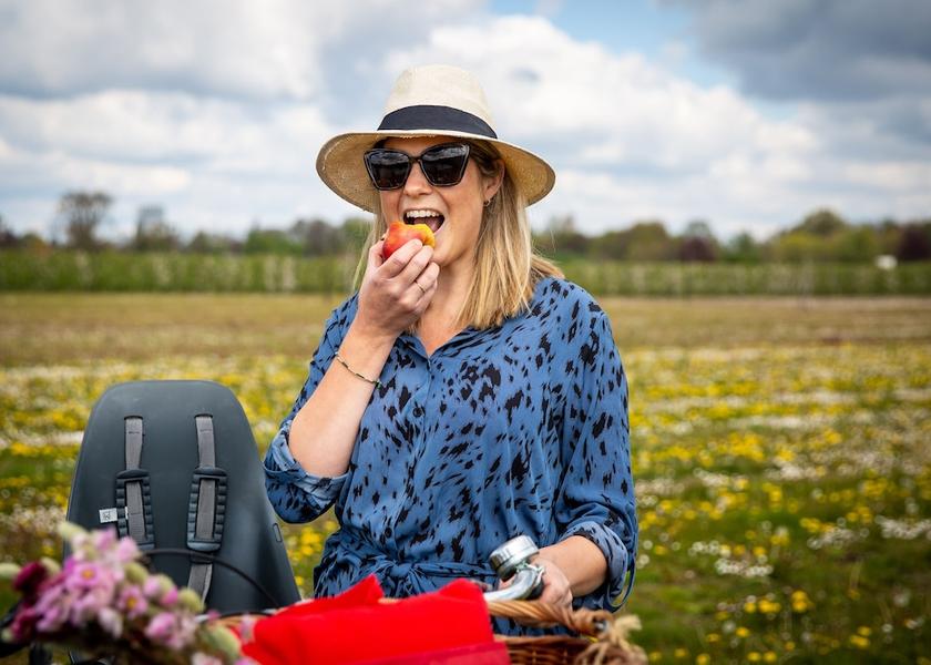 Flemish Region Turnhout Bicycling