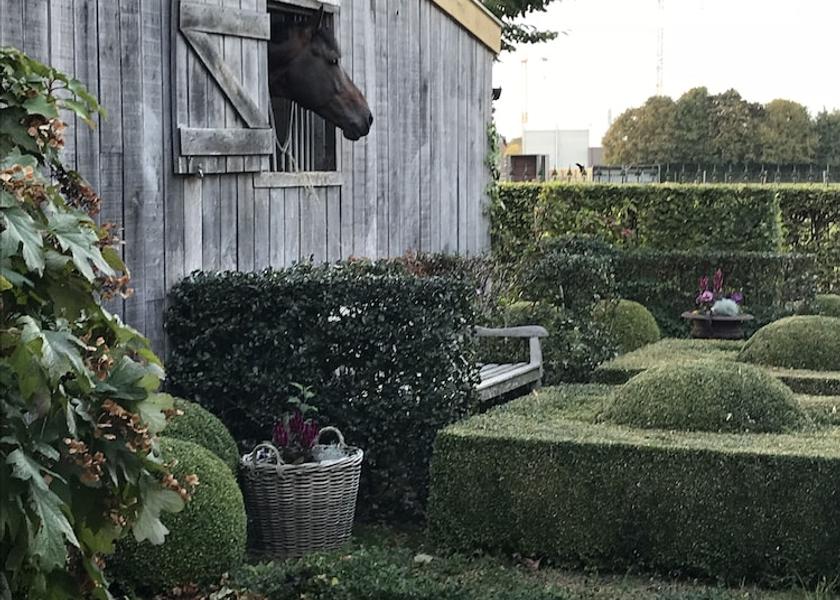 Flemish Region Bree Exterior Detail