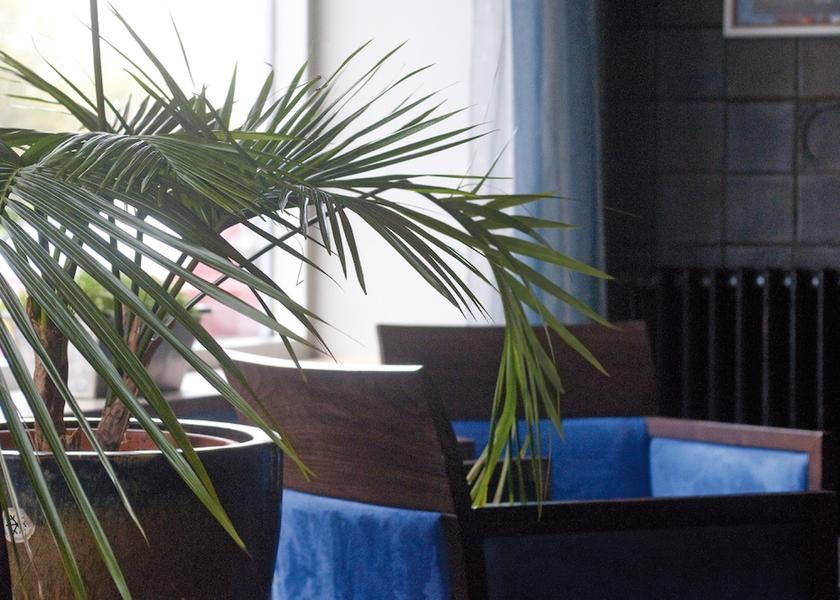 Flemish Region Ostend Bar (on property)