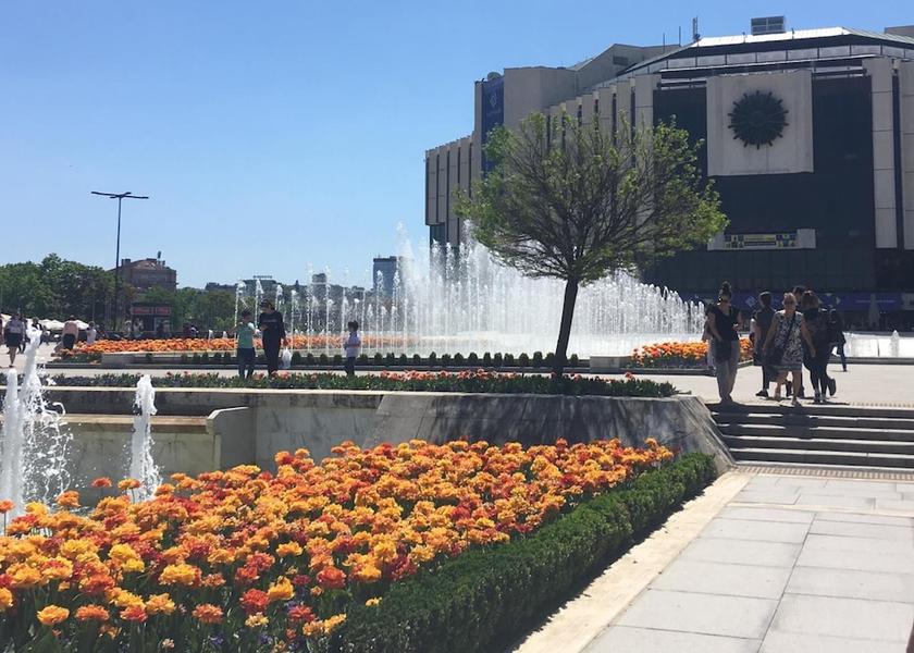  Sofia Property Grounds