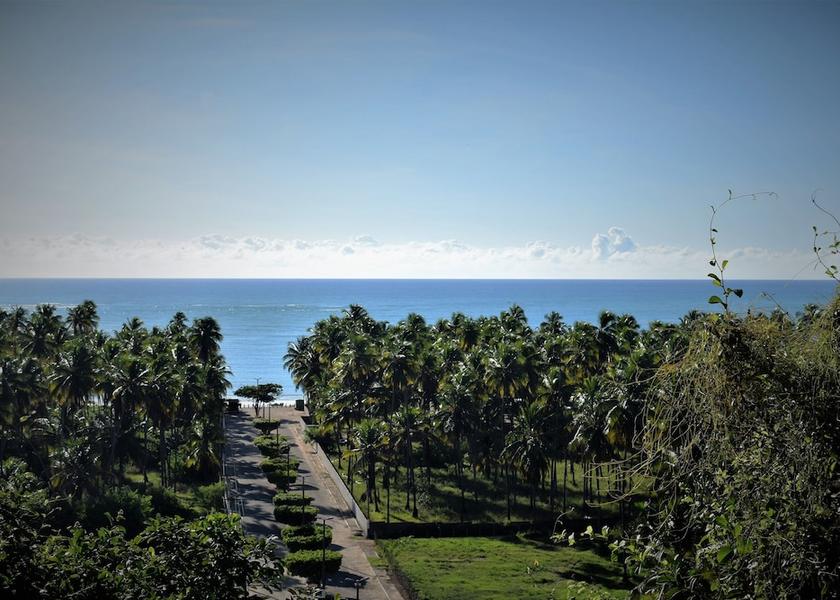 Alagoas São Miguel dos Milagres Beach