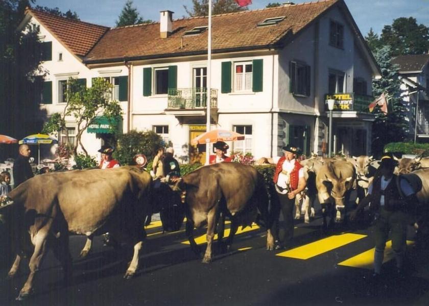 Appenzell Ausserrhoden Heiden Exterior Detail