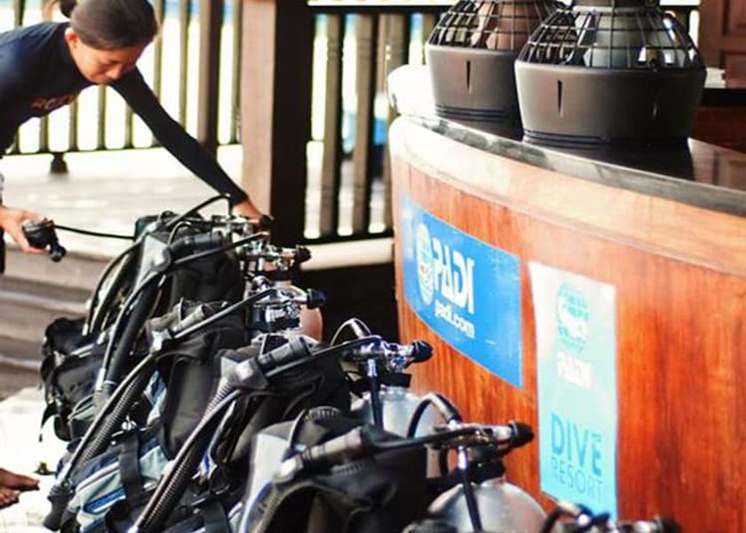 Sabah Gaya Island Ecotours