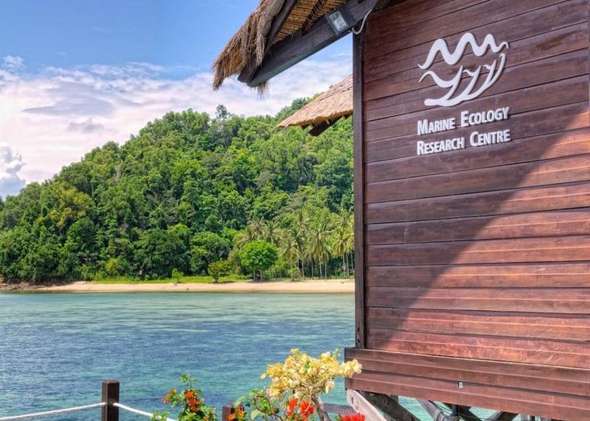 Sabah Gaya Island Ecotours