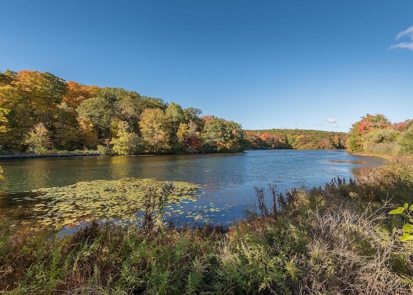 New Jersey Haskell Exterior Detail