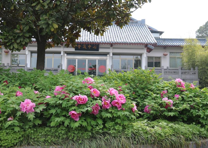 Henan Luoyang Meeting Room
