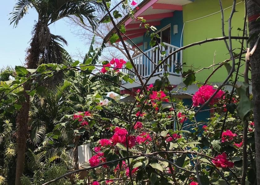 Guanacaste Tamarindo Interior Entrance