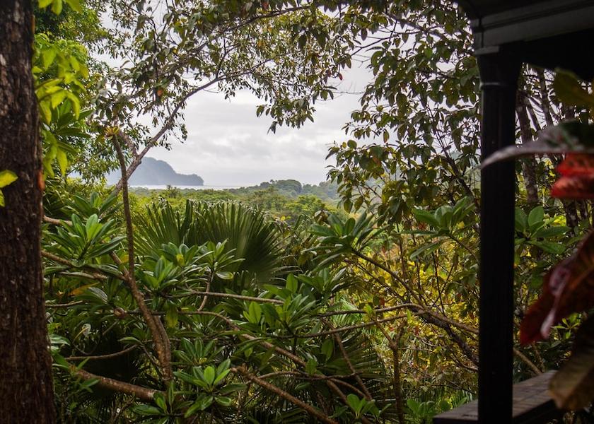 Puntarenas Paquera Exterior Detail