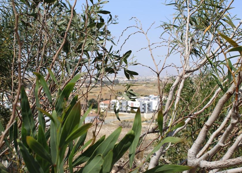 Larnaca District Tseri Exterior Detail