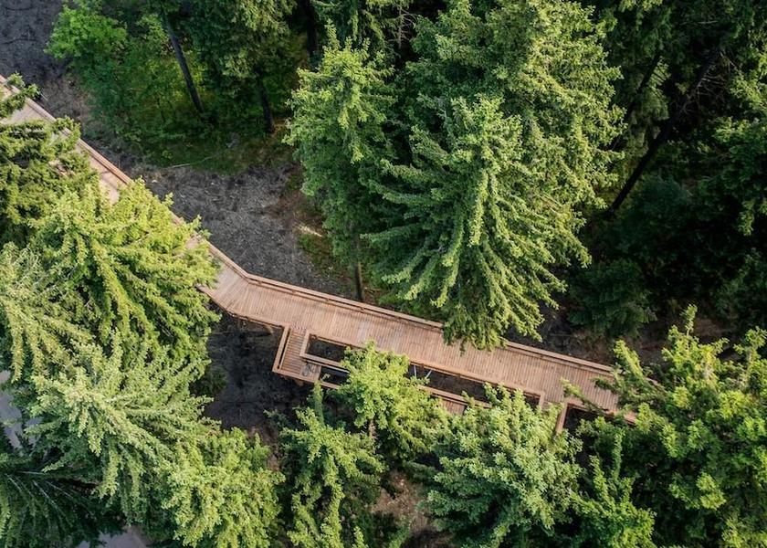 Hradec Kralove (region) Svoboda nad Upou Hiking