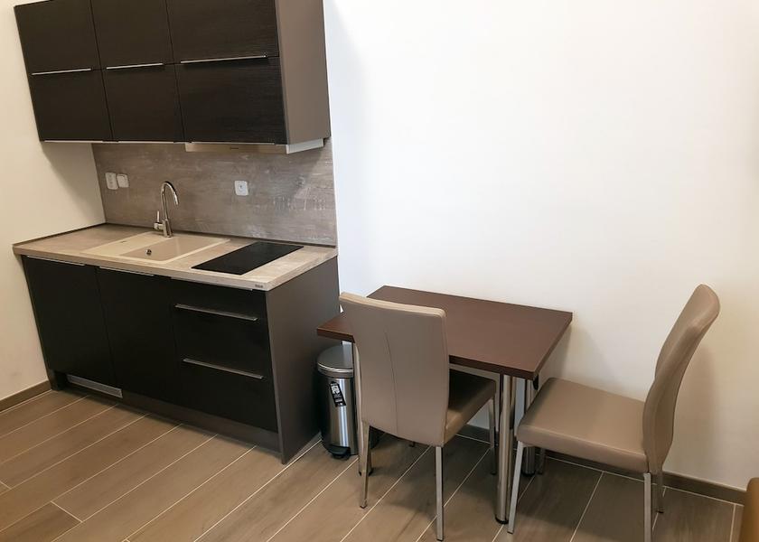 South Moravian (region) Brno Kitchenette