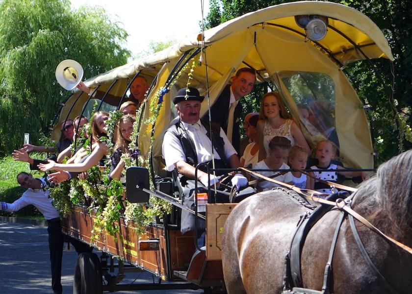 Mecklenburg-West Pomerania Zingst Horse Riding