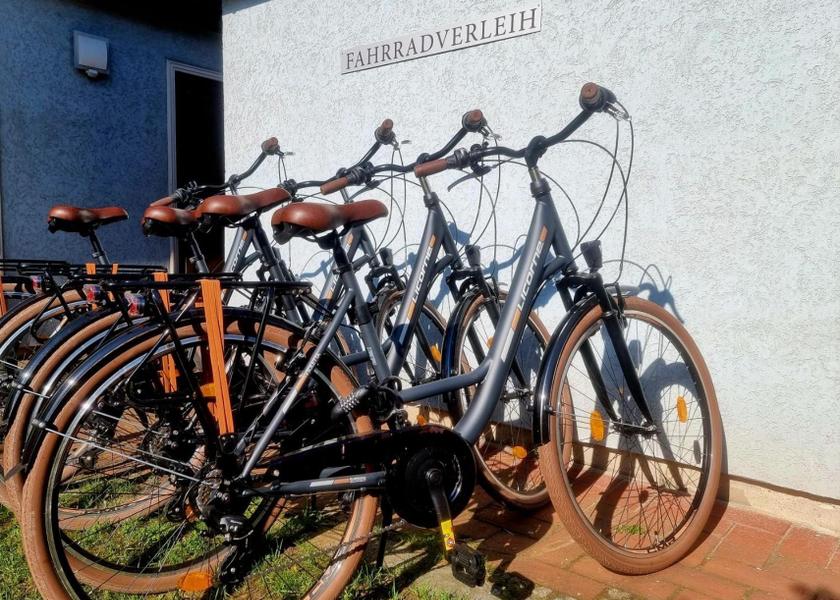 Brandenburg Region Potsdam sports and activities