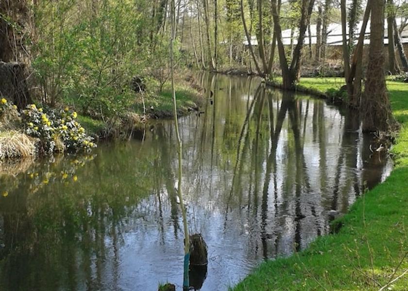 Brandenburg Region Cottbus View from Property