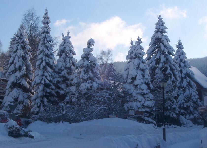 Lower Saxony Bad Grund Snow and ski sports