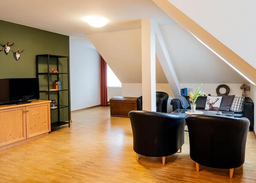 Saxony Bad Schandau Duplex apartment with 2 triple rooms (no balcony)