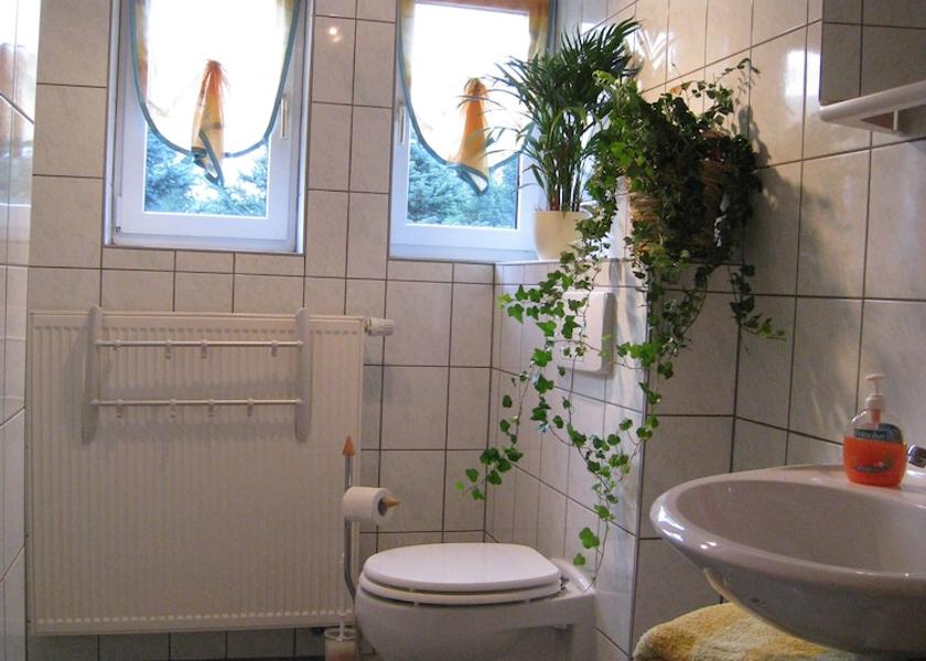 Saxony Hermsdorf-Erzgebirge Bathroom