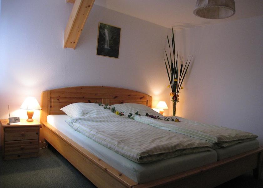 Saxony Hermsdorf-Erzgebirge Room
