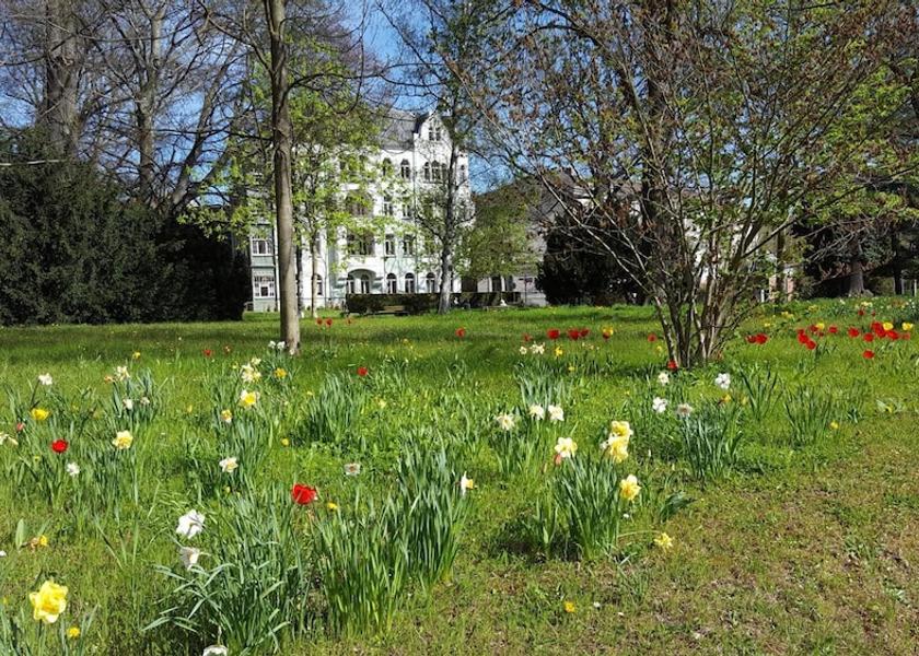 Saxony Zittau Property Grounds