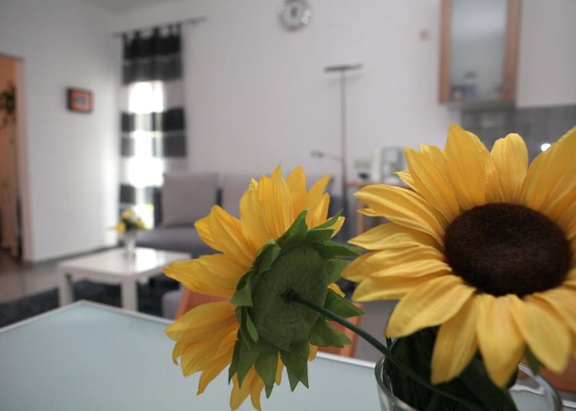 North Rhine-Westphalia Bochum Room