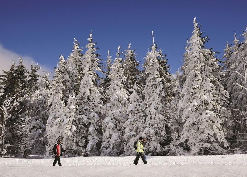 Baden-Württemberg Hinterzarten Snow and ski sports