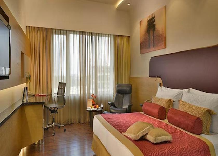 Gujarat Vadodara Photos