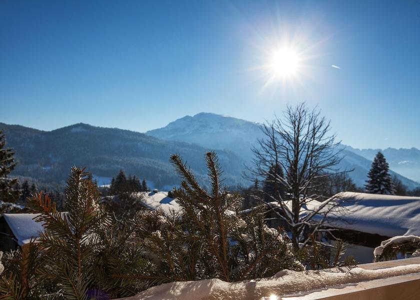 Bavaria Reit im Winkl View from Property