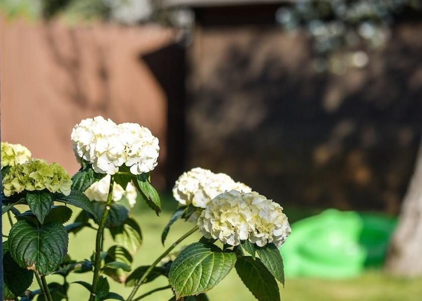 Parnu County Parnu View from Property