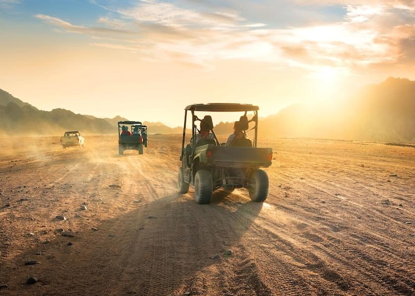  Soma Bay Safari and game