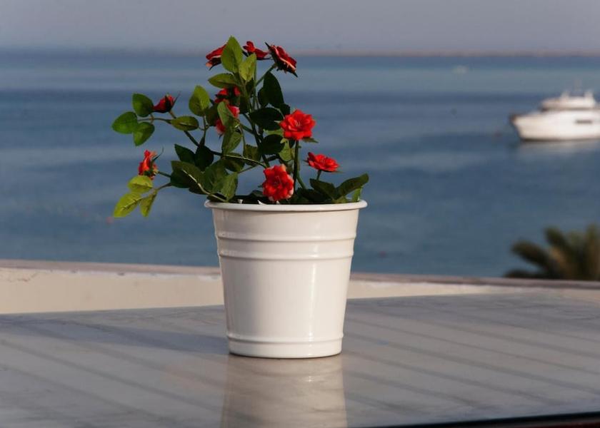 Red Sea Governorate Hurghada Beach