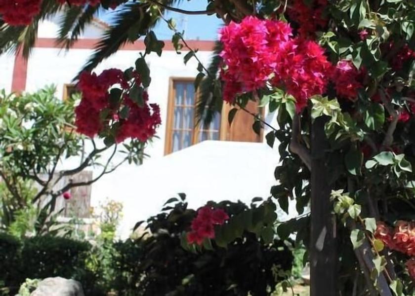 Canary Islands Granadilla de Abona Property Grounds