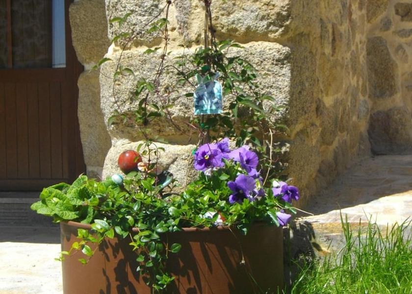 Galicia Panton Exterior Detail