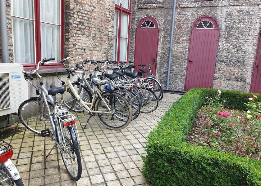 Flemish Region Bruges Bicycling