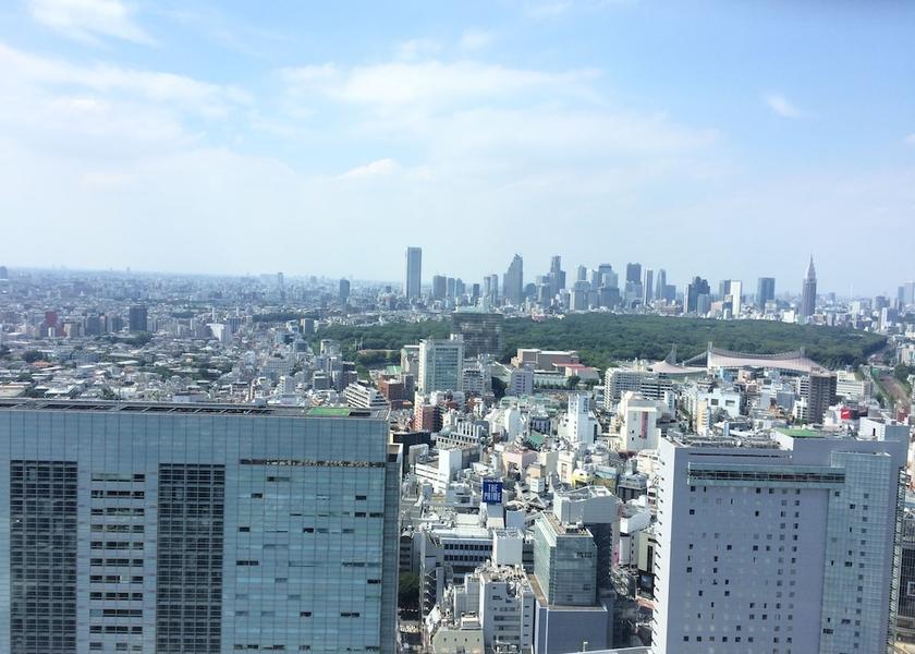 Tokyo Tokyo View from room