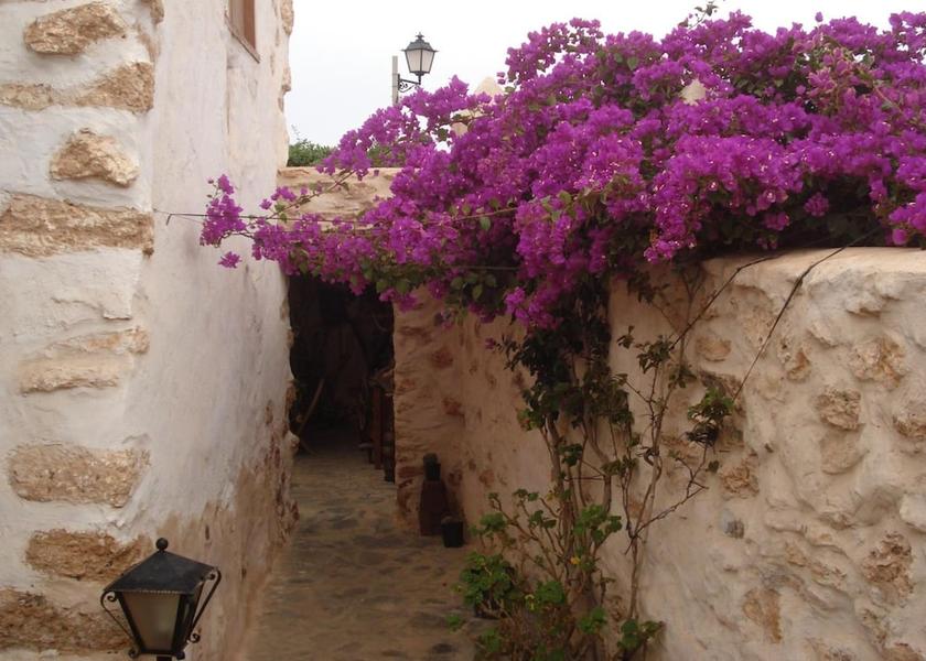 Canary Islands Tuineje Property grounds