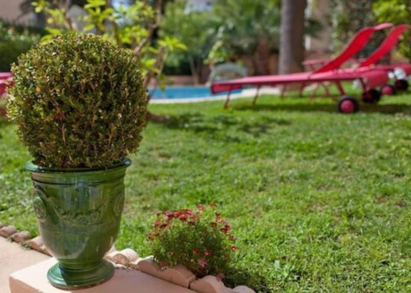 Provence - Alpes - Cote d'Azur Cannes Exterior Detail