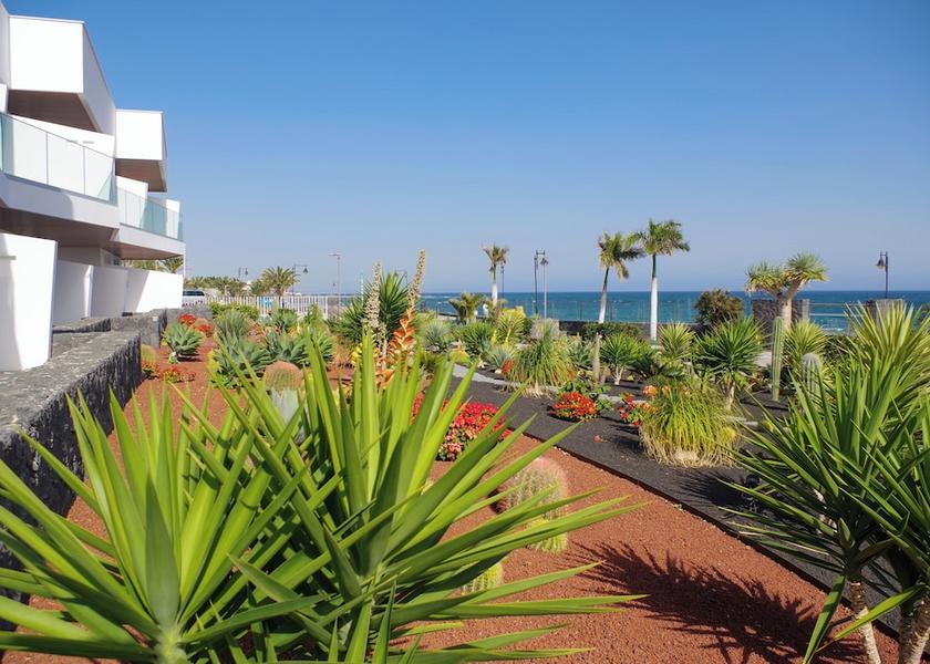 Canary Islands Tías Property grounds