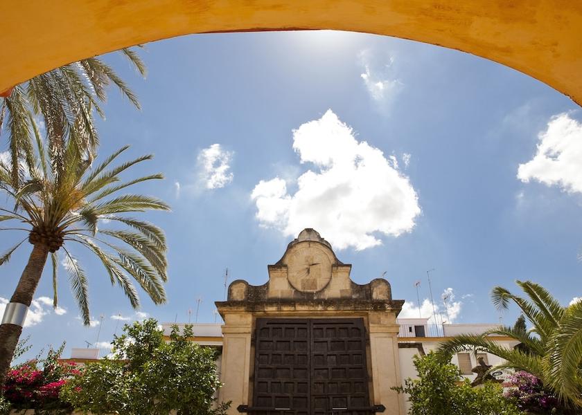 Andalusia Palma del Rio View from property