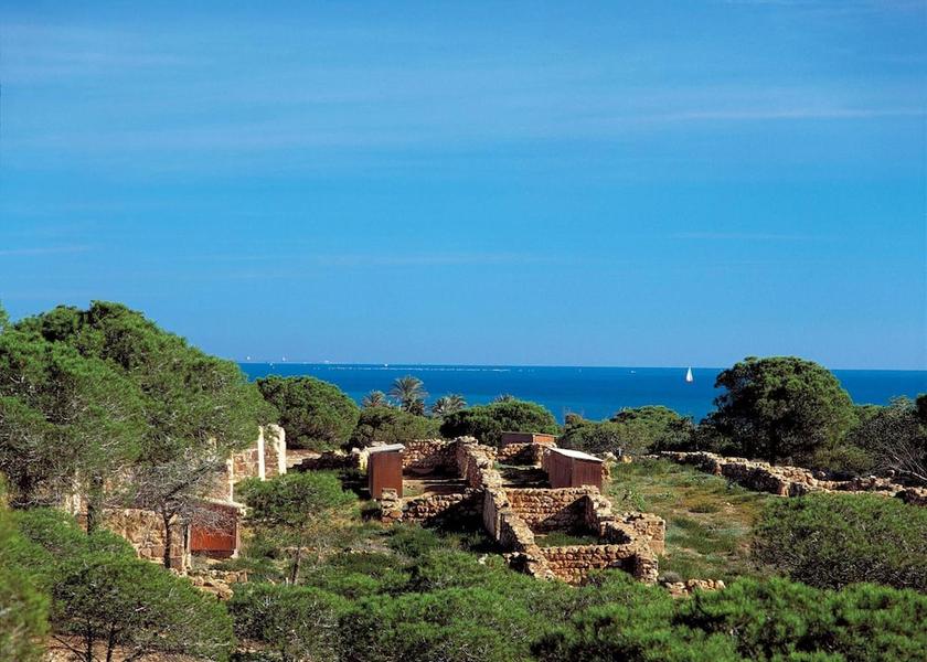 Valencian Community Guardamar del Segura Aerial view