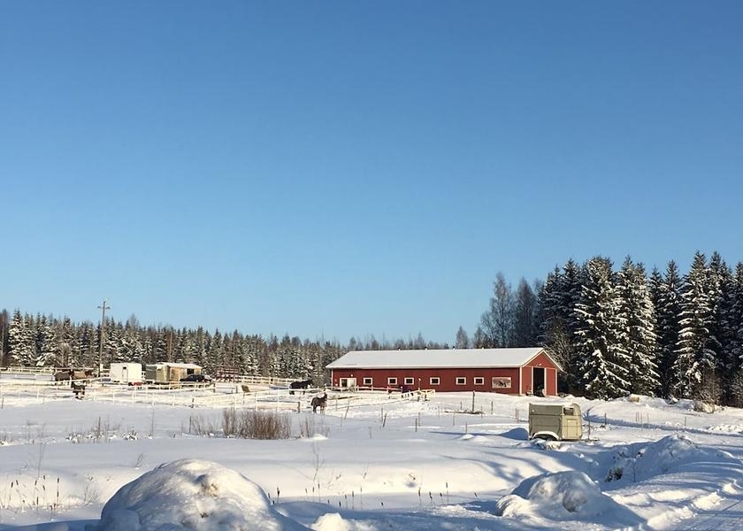 Eastern Finland Savonlinna Property Grounds