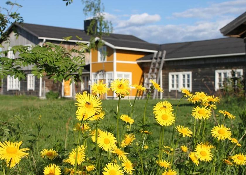 Rovaniemi Kittila Exterior Detail