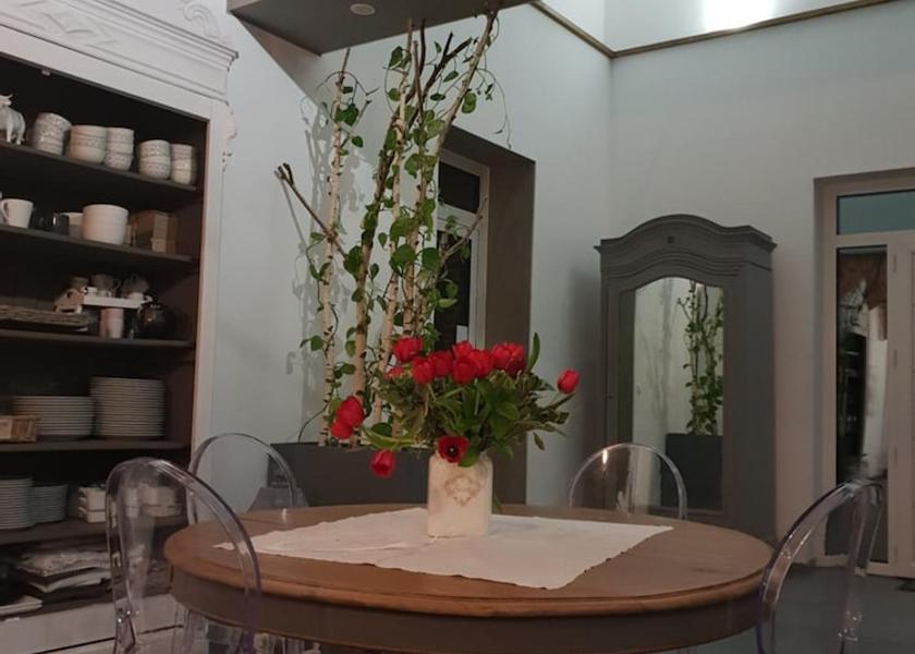 Hauts-de-France Saint-Amand-les-Eaux Kitchen