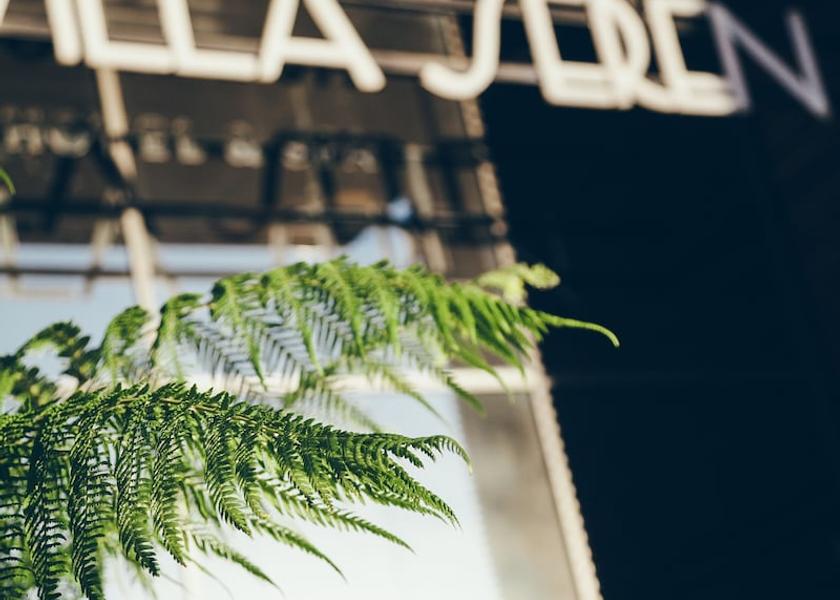 Nouvelle-Aquitaine Soorts-Hossegor Facade