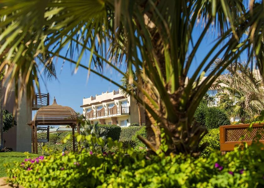 South Sinai Governate Sharm El Sheikh Amenity