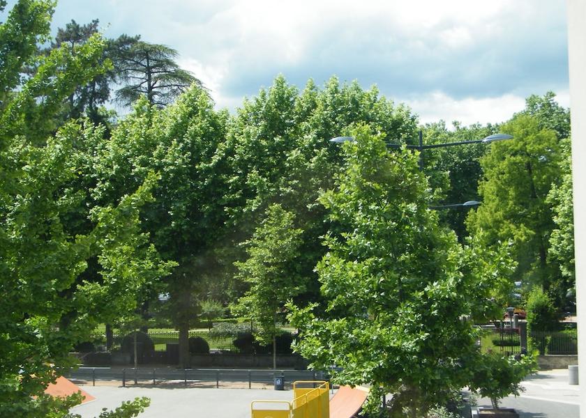 Auvergne-Rhone-Alpes Vienne View from Property